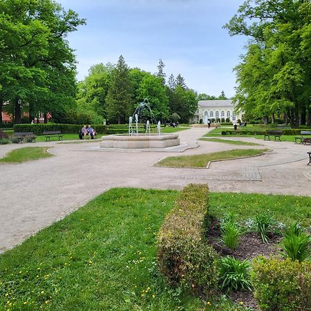 Villa Klara Cieplice Jelenia Gora Ngoại thất bức ảnh